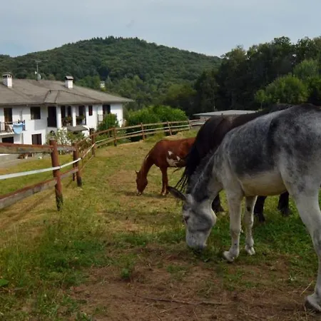Favetto Family Ranch