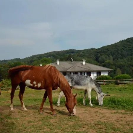 Favetto Family Ranch