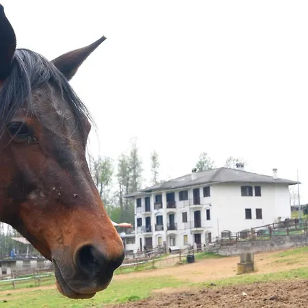 B&B Favetto Family Ranch Rueglio