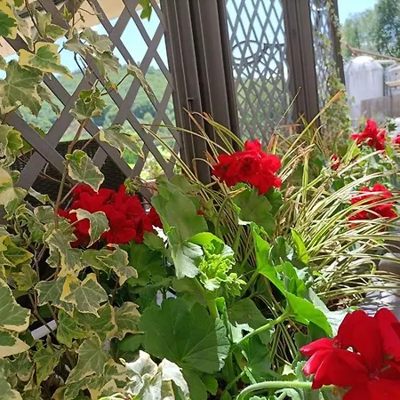 Bed & Breakfast Favetto Family Ranch Rueglio