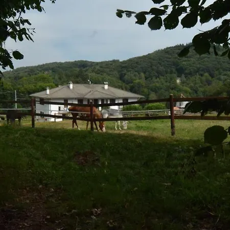 Favetto Family Ranch Bed & Breakfast *