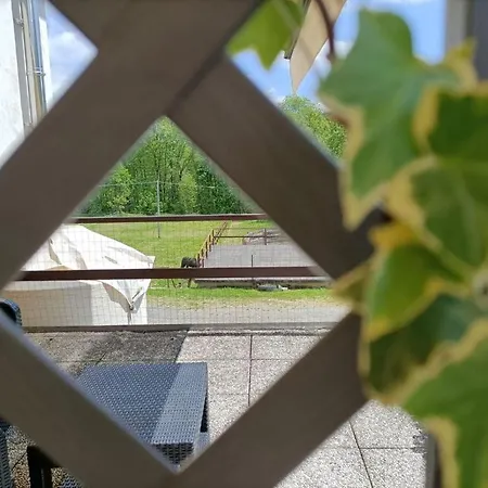 Bed & Breakfast Favetto Family Ranch