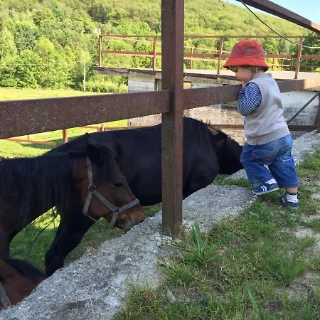 Favetto Family Ranch