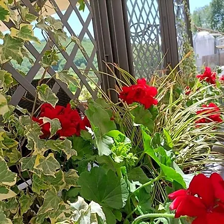 Bed & Breakfast Favetto Family Ranch Rueglio
