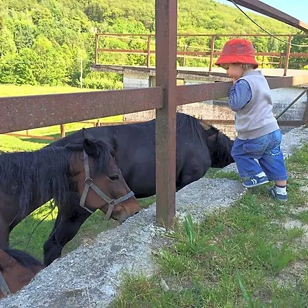 Favetto Family Ranch Rueglio