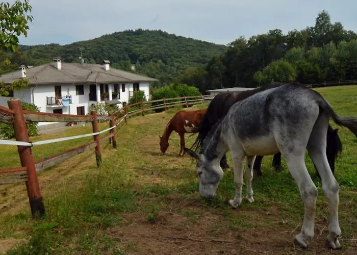 Favetto Family Ranch