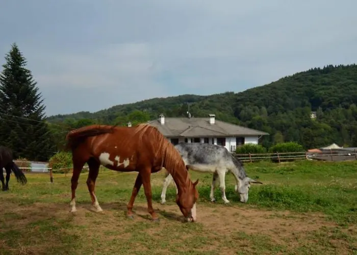 Favetto Family Ranch