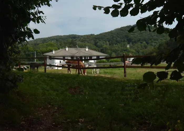 Favetto Family Ranch 住宿加早餐酒店 3*