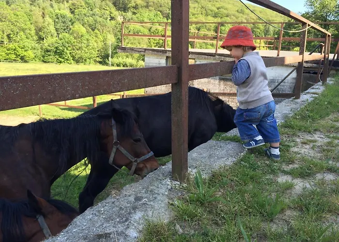 Favetto Family Ranch